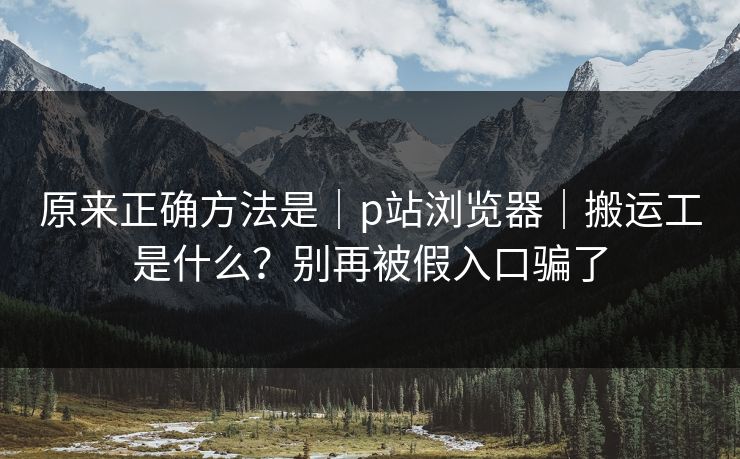 原来正确方法是｜p站浏览器｜搬运工是什么？别再被假入口骗了