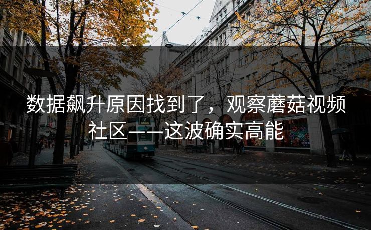 数据飙升原因找到了，观察蘑菇视频社区——这波确实高能