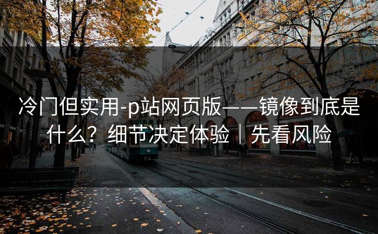 冷门但实用-p站网页版——镜像到底是什么？细节决定体验｜先看风险