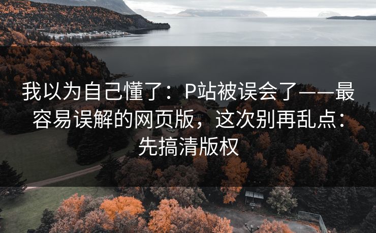 我以为自己懂了：P站被误会了——最容易误解的网页版，这次别再乱点：先搞清版权