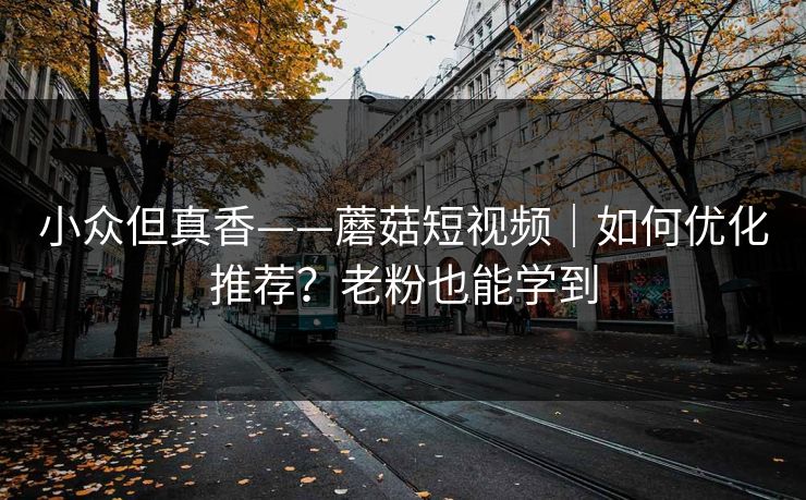 小众但真香——蘑菇短视频｜如何优化推荐？老粉也能学到