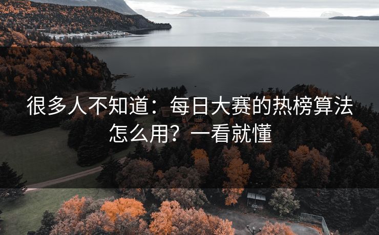 很多人不知道：每日大赛的热榜算法怎么用？一看就懂