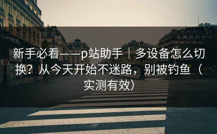 新手必看——p站助手｜多设备怎么切换？从今天开始不迷路，别被钓鱼（实测有效）