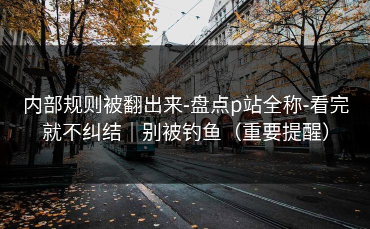 内部规则被翻出来-盘点p站全称-看完就不纠结｜别被钓鱼（重要提醒）