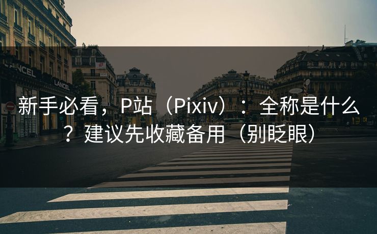 新手必看，P站（Pixiv）：全称是什么？建议先收藏备用（别眨眼）