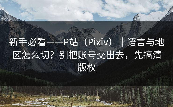 新手必看——P站（Pixiv）｜语言与地区怎么切？别把账号交出去，先搞清版权