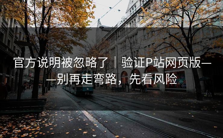 官方说明被忽略了｜验证P站网页版——别再走弯路，先看风险