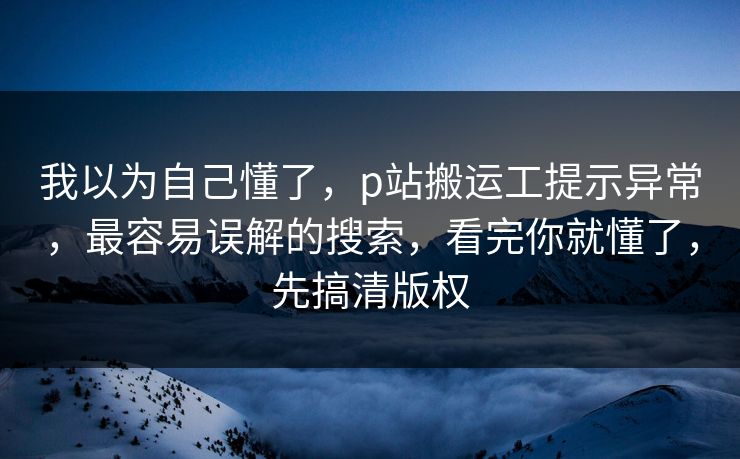 我以为自己懂了，p站搬运工提示异常，最容易误解的搜索，看完你就懂了，先搞清版权