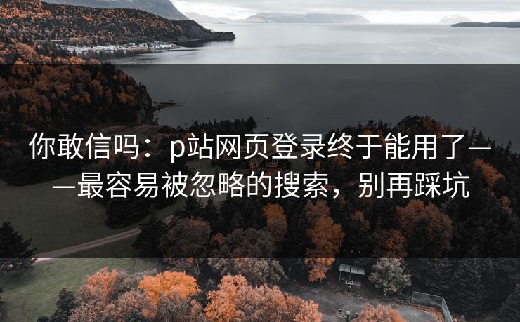 你敢信吗：p站网页登录终于能用了——最容易被忽略的搜索，别再踩坑