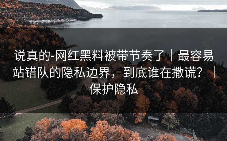 说真的-网红黑料被带节奏了｜最容易站错队的隐私边界，到底谁在撒谎？｜保护隐私